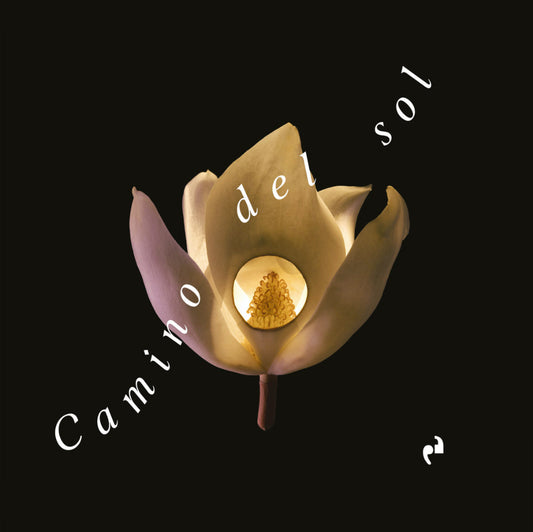 Camino del Sol - Libro