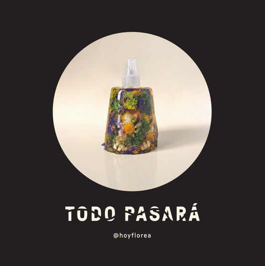 Todo Pasará - Libro